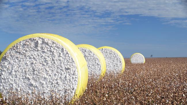 Cotton bales on TIAA-CREF’s Cobran Station, near Hay in NSW.