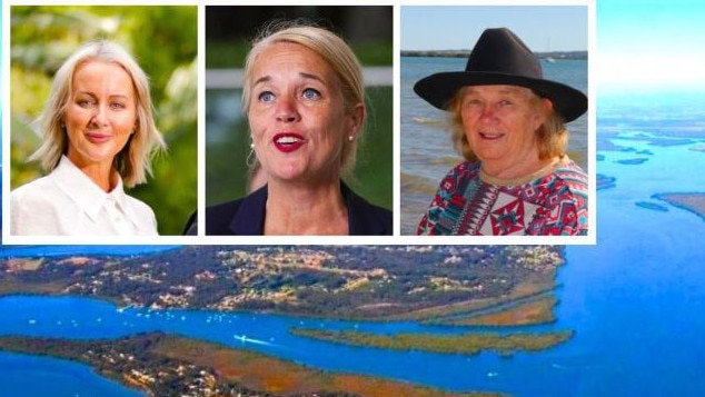 Redlands MP Rebecca Young (LNP); the former Redlands MP Kim Richards (ALP) and Macleay Island resident Gayle Nemeth. Residents have been making complaints about the Weinam Creek parking for more than 12 years.