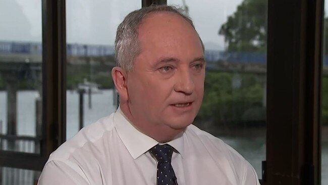 Barnaby Joyce on Insiders. Picture: ABC