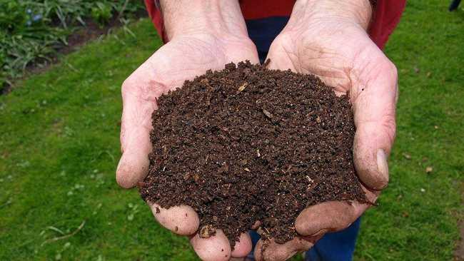 BLACK GOLD: Keen Northern Rivers gardeners look forward to when Lismore City Council will have compost for sale again. Picture: Supplied