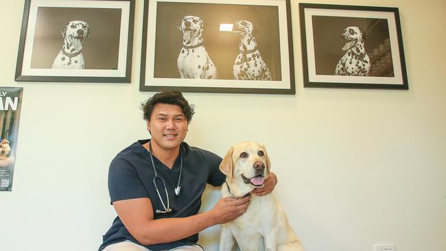 Opening November 16, the Gold Coast Walk In Vet provides low-urgency veterinary care after hours. with Dr John Truong and Angus The Happy Lab. Picture: Glenn Campbell