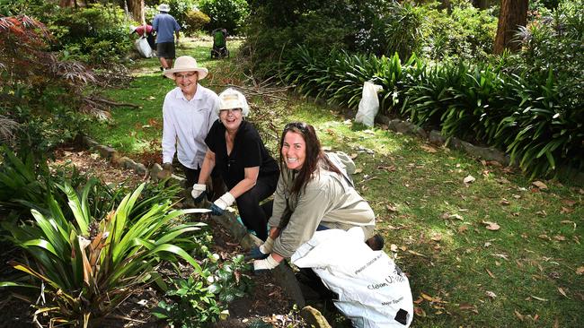 Chatswood residents have started the Parkcare group to look after Beauchamp Park. The group has been set up to maintain the ornamental garden beds in Beauchamp Park and offers local residents a communal gardening space. volunteers in the park doing some gardening. Monique van vugt. Bush regen Stephanie lay. Chatswood. Black Ruth woodley. Brian wadsworth .Chatswood .stick man Jessica . Jemima. Harry 4 Watts. Chatswood