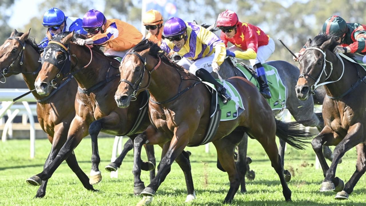 Kembla preview: Veebee ready to crack it for his first win
