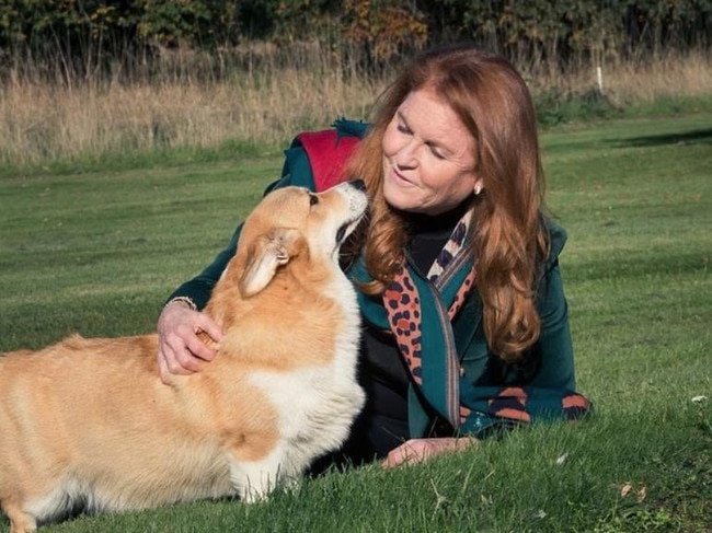 Sarah Ferguson, with one of the Queen’s adopted corgis, will reveal more about her life in a speaking tour of Australia.