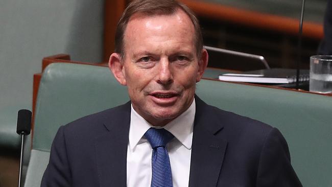 Tony Abbott in Question Time. Picture: Kym Smith