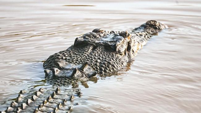 Kakadu National Park which is home to about 10,000 crocodiles, and around 315 people according to the latest census. Picture: Nakita Nia.