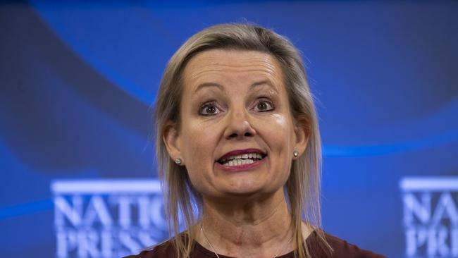 Minister for the Environment Sussan Ley. Picture: NCA NewsWire / Martin Ollman