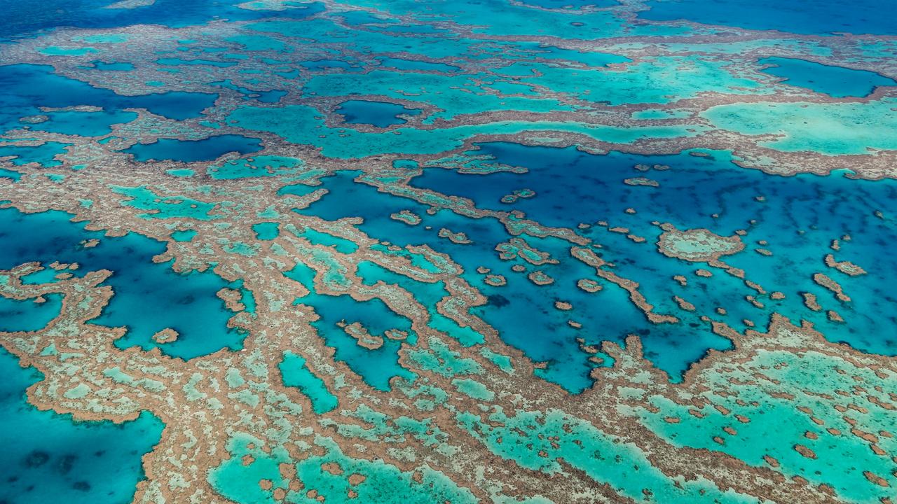 Elderly snorkeler flown to hospital from Great Barrier Reef