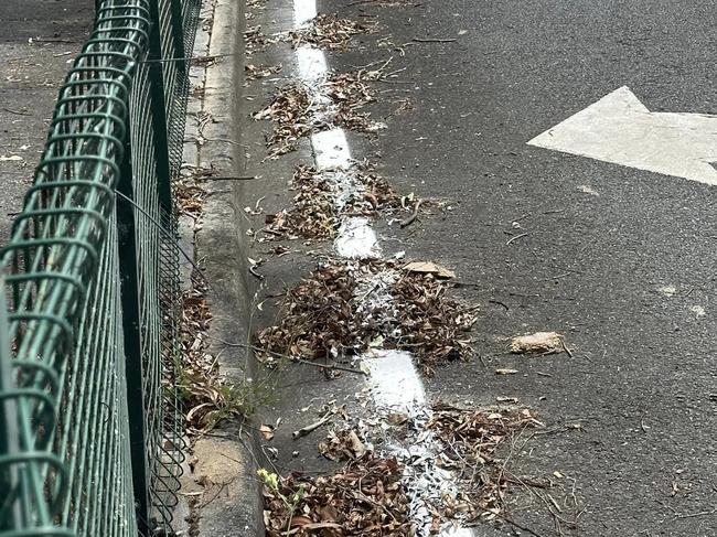 Line marking over leaves on the Gold Coast. Picture: Martin Webb