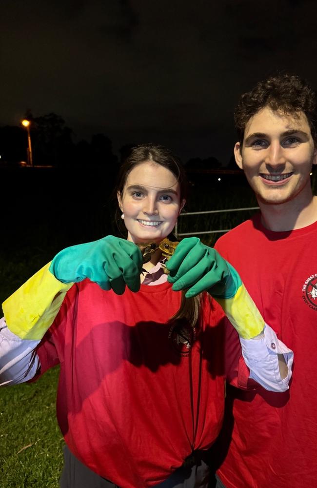 Participants of the 2025 Great Cane Toad Bust with cane toads that had been removed from the environment. Photo: Watergum