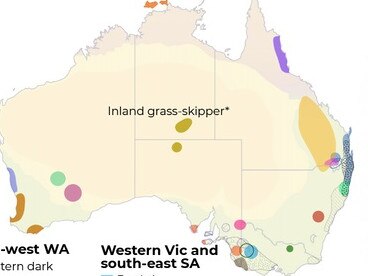 A map has revealed the top 16 butterfly species at risk of extinction in Australia. Picture: The Conversation