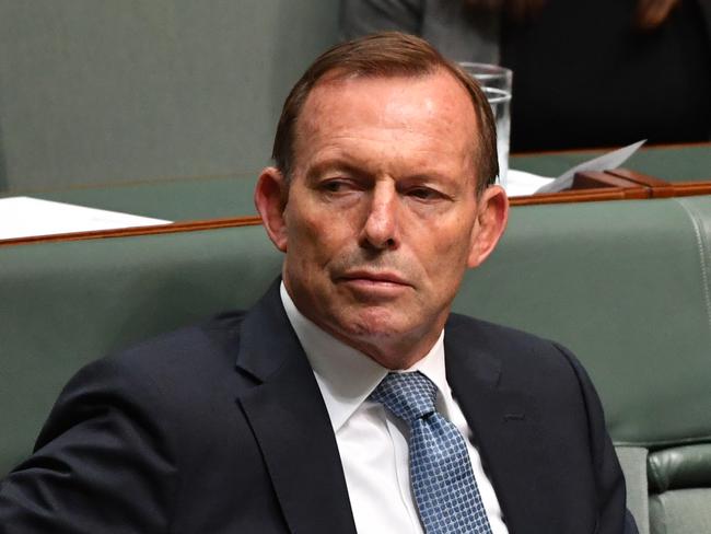 Former prime minister Tony Abbott and Liberal member of Hughes Craig Kelly during Question Time in the House of Representatives at Parliament House in Canberra, Thursday, December 6, 2018. (AAP Image/Mick Tsikas) NO ARCHIVING