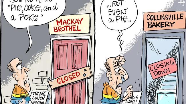 A collection of cartoons in 2024 by Mackay Daily Mercury cartoon artist Harry Bruce.