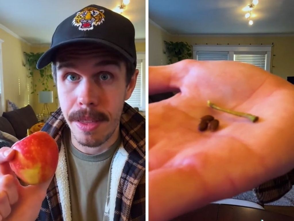The finished result when you eat an apple using this method. Picture: TikTok.
