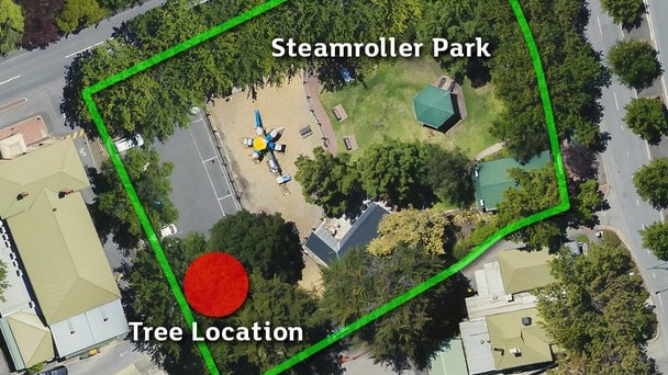 The Adelaide Hills Council will tear down a large tree over concerns for safety at a busy playground. Picture: Adelaide Hills Council