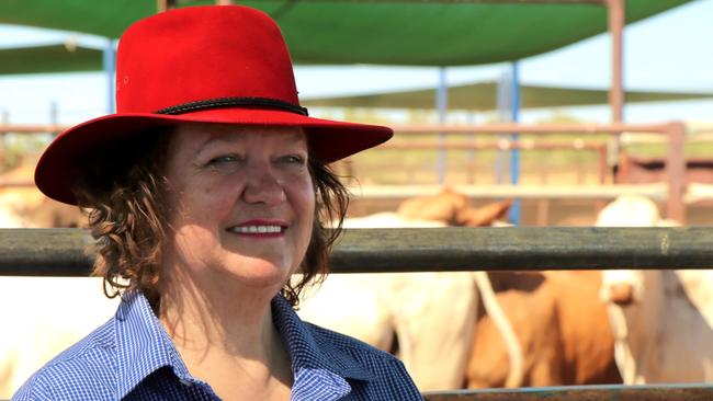 Gina Rinehart won a bid to have a family trust dispute heard behind closed doors. File image