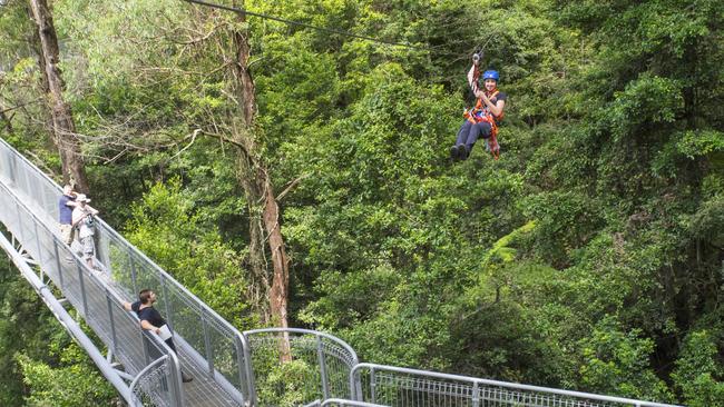 Ziplining at Illawarra Fly Treetop Adventures, NSW. Picture: Destination NSW