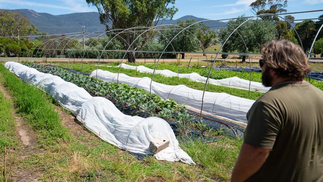 Josh has been steadily expanding the size of the garden over the last 18 months.