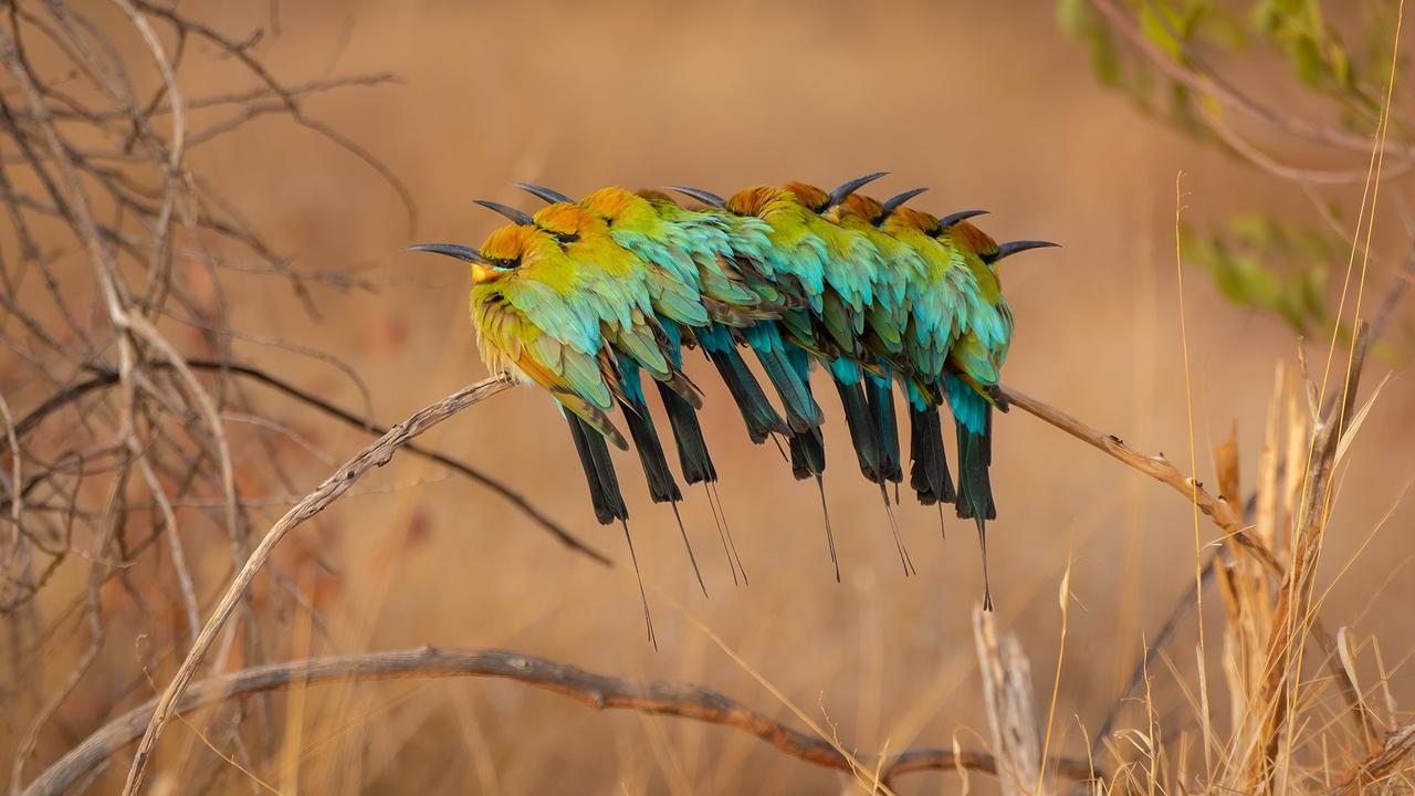 Over the rainbow? No chance with this colourful, head-turning image