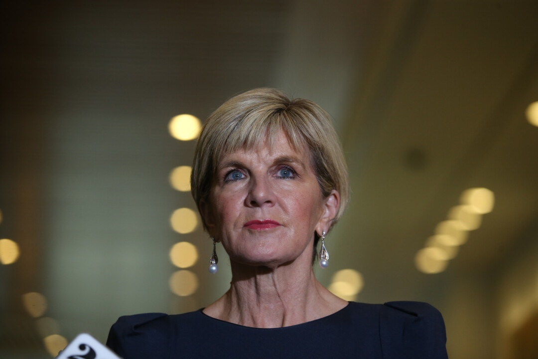 Julie Bishop could resign before upcoming election: reports | news.com ...