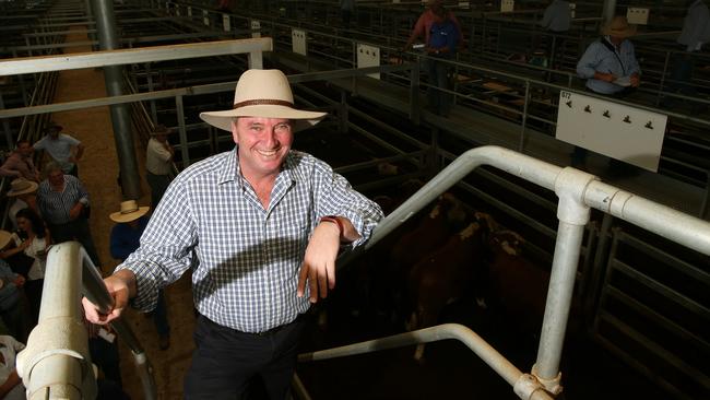 Barnaby Joyce on the campaign trail at the Tamworth Saleyards in the New England region today. Picture: Peter Lorimer