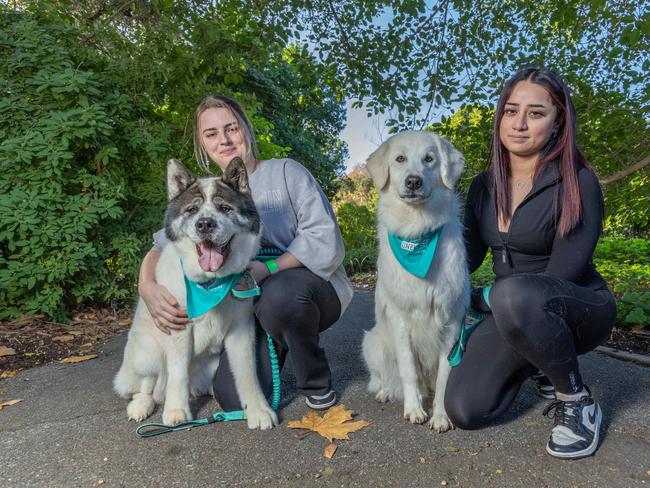 RSPCA SA's Million Paws Walk in Adelaide on May 25, 2025. Picture: Ben Clark