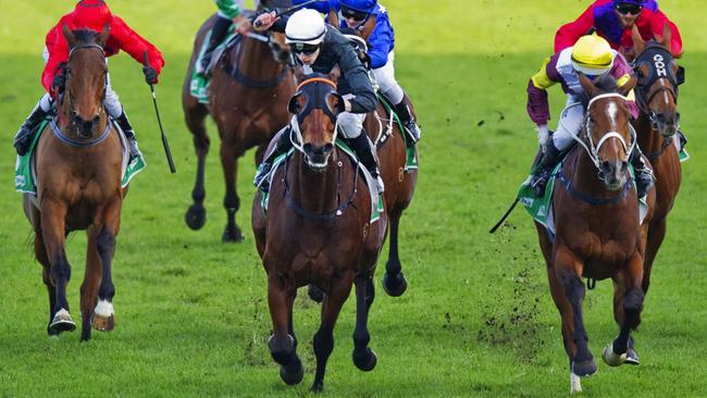 Tucanchoo (white cap). Picture: Jenny Evans