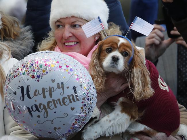 A fan with a dog decorated with US flags awaits the arrival of Britain’s Prince Harry and his fiancee Meghan Markle as they arrive for a visit to Cardiff Castle in Cardiff, Wales, Thursday, Jan.18, 2018. Picture: AP