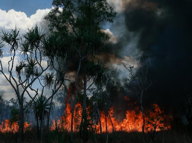 A generic photo of a grassfire outside Darwin, fire , climate changePicture: Glenn Campbell