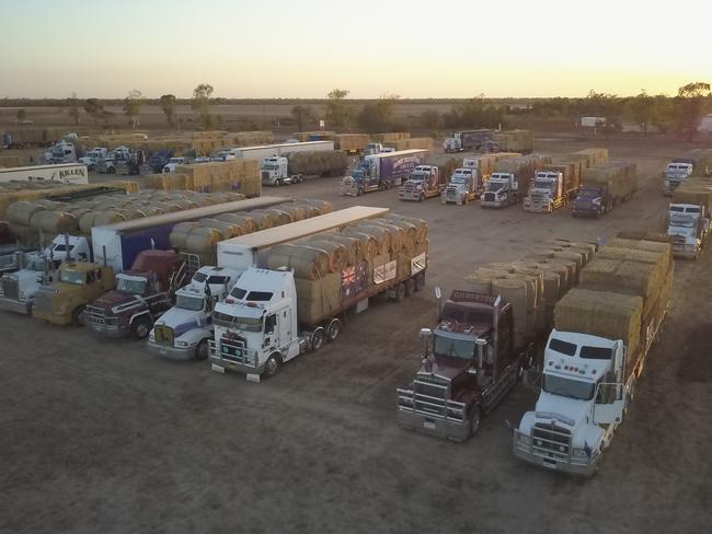 The convoy of trucks filled with hay for NSW farmers.