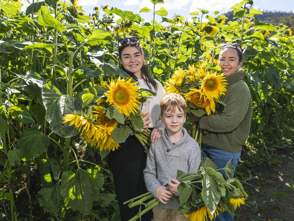 Gathering their sunflowers are (from left) Monique, Noah and Rachelle Deem at the picnic with the sunflowers event hosted by Ten Chain Farm, Saturday, June 8, 2024. Picture: Kevin Farmer