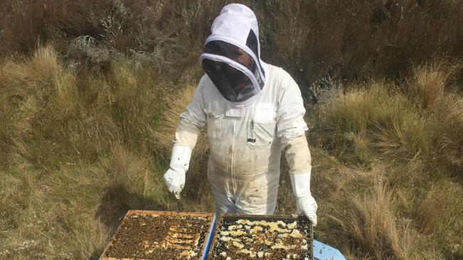 Duxton Bees general manager Keegan Blignaut, who operates one of Australia’s biggest beekeeping operations with 4,500 hives across the Murray-Darling region, said the increase would have a significant impact on his bottom line.,