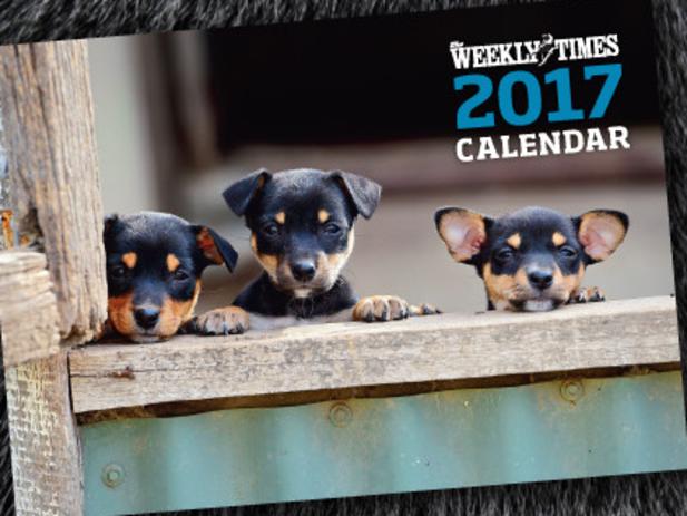 Year-round: The Weekly Times Dog Calendar 2017.