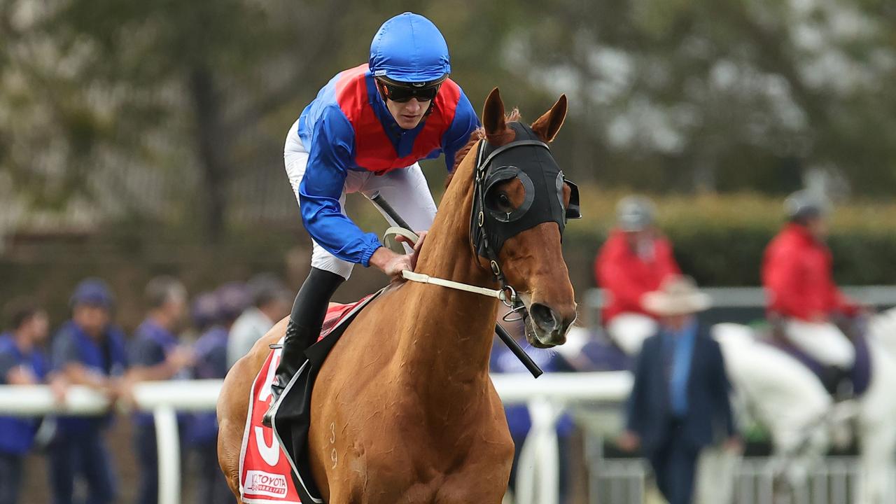 The Grafton Cup could be on the cards for Golden Path. Picture: Getty Images