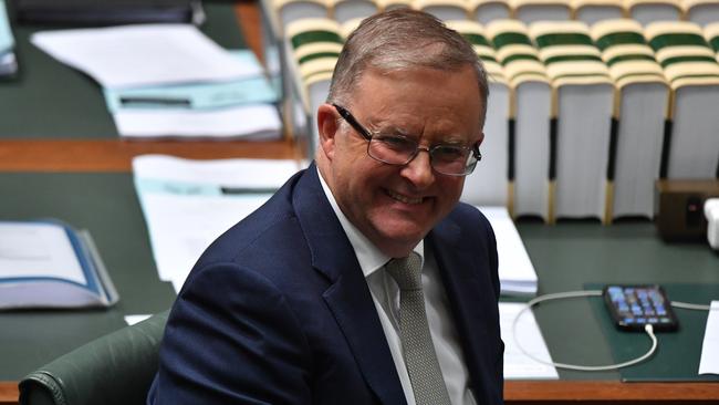 Labor Leader Anthony Albanese and his party seem comfortable on the opposition benches. Picture: Sam Mooy/Getty Images