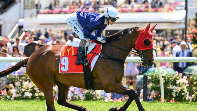 The Map prior to winning The Macca's Run at Flemington last year. Picture: Morgan Hancock-Racing Photos via Getty Images