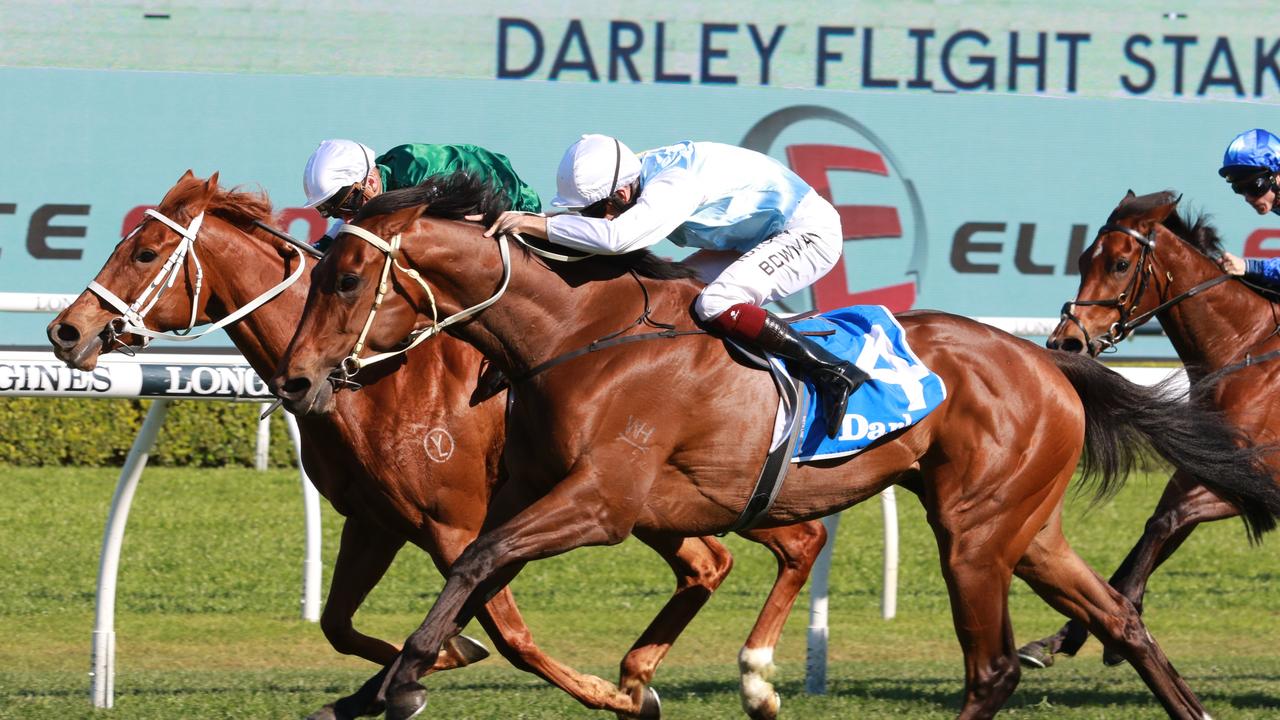 Montefilia is chasing and third Group 1 win at Randwick in the Metropolitan. Picture: Grant Guy