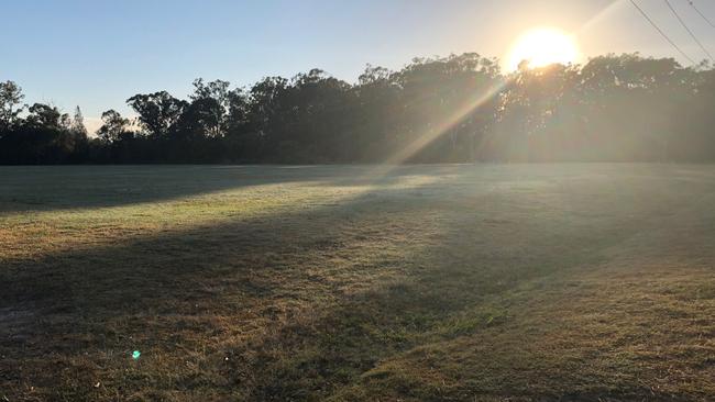 The large field as the sun rises. Picture: Amanda Robbemond