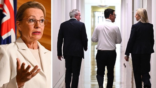 Liberals leader Sussan Ley and, right, Nationals leader David Littleproud, centre, deputy leader Kevin Hogan, left, and Senate leader Bridget McKenzie in Canberra on Tuesday. Pictures: AAP