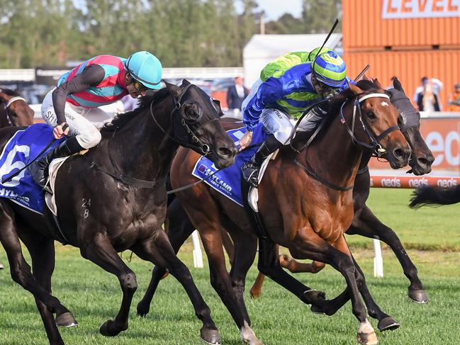 Attrition ridden by Beau Mertens wins the Hyland Race Colours Toorak Handicap at Caulfield Racecourse on October 14, 2023 in Caulfield, Australia. (Photo by Reg Ryan/Racing Photos via Getty Images)