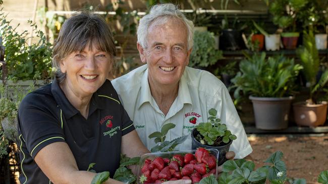 Peter and Marg Tacey, who own Belstack Strawberry Farm, are closing their strawberry farm after about 35 years in business.