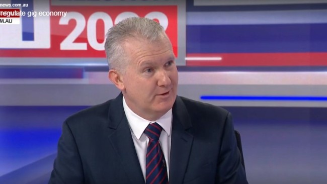 Tony Burke has told Sky News Australia when it comes to the gig economy, the Coalition won’t even guarantee that minimum wages should be met. Picture: Sky News Australia.