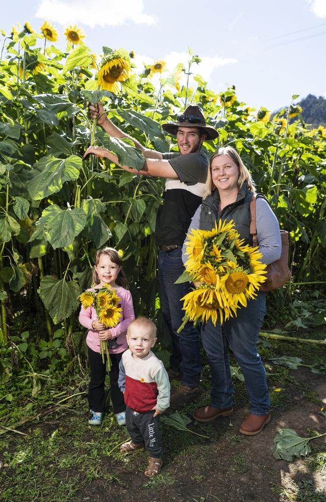 Reuben and Tianna Patch with their kids Mia and Hugh at the picnic with the sunflowers event hosted by Ten Chain Farm, Saturday, June 8, 2024. Picture: Kevin Farmer