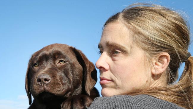 Connewarre woman Belinda Cox still hoping for black labrador