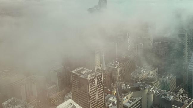 Fog taken from Sydney Tower Eye today. Picture: The Observation Deck, Sydney Tower