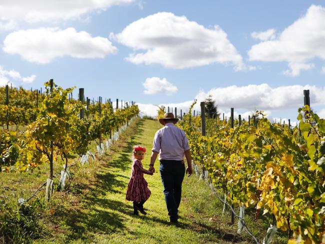 Families are seeking to escape crowded beaches and busy roads at places like Borrodell Vineyard in Orange, NSW. Picture: Destination NSW