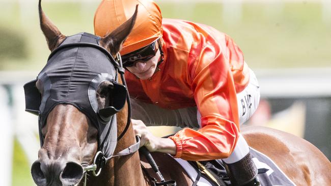 Dreamforce outguns his rivals at Royal Randwick in May. Picture: Jenny Evans