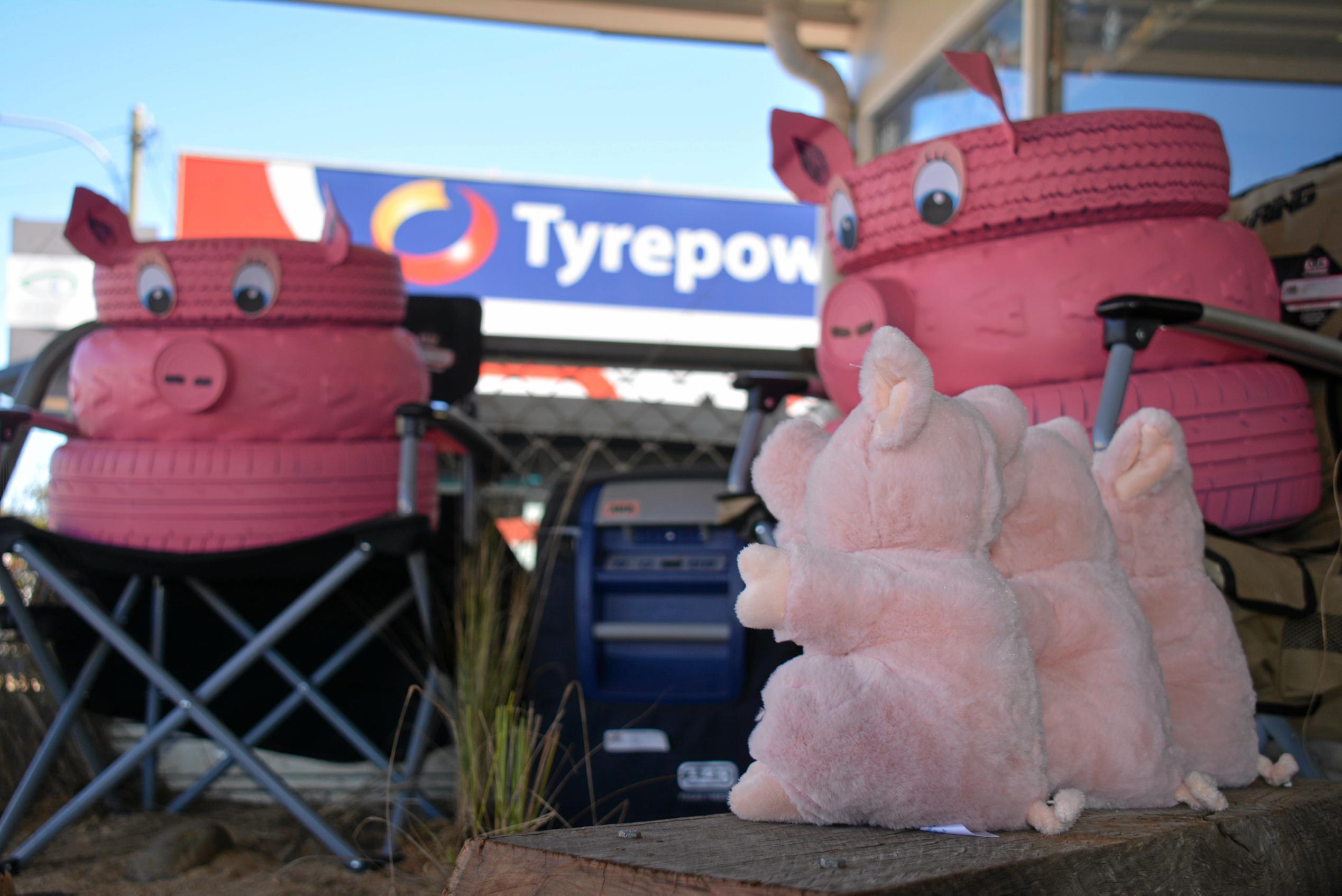 CAMPFIRE: Cooper Tires got all pink and piggy with their campfire display for BaconFest Street Window competition, earning them a highly commended. Picture: Jessica McGrath