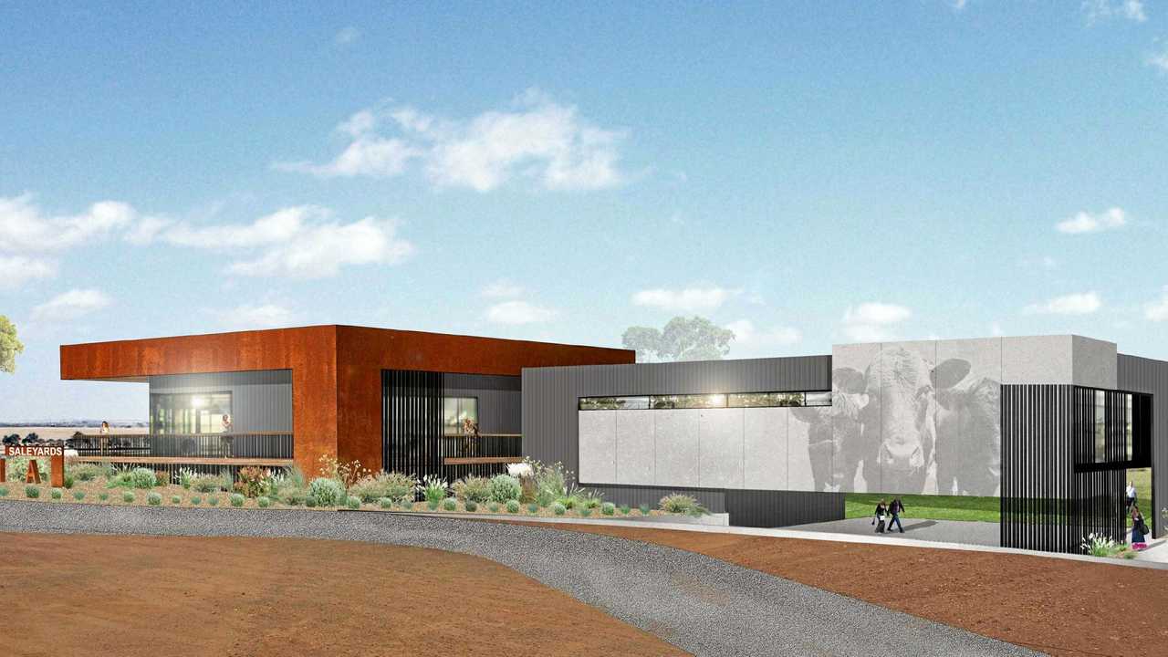 FUTURE WORK: An artist's impression of the planned upgrades to the Roma saleyard facility.