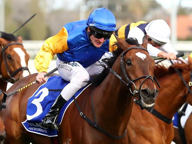 MELBOURNE, AUSTRALIA - SEPTEMBER 29: Jockey Brad Rawiller rides Black Heart Bart  to win race 7 the Hyland Race Colours Underwood Stakes during Underwood Stakes Day at Caulfield Racecourse on September 29, 2019 in Melbourne, Australia. (Photo by Kelly Defina/Getty Images)